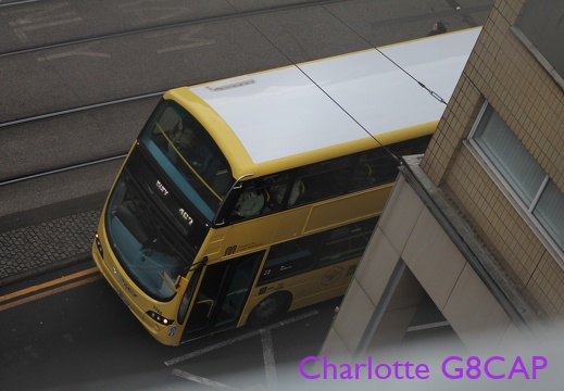 Buses